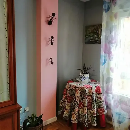 Colores اوفيدو