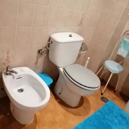 Colores اوفيدو