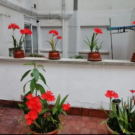 Apartment Colores
