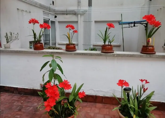 Διαμέρισμα Colores